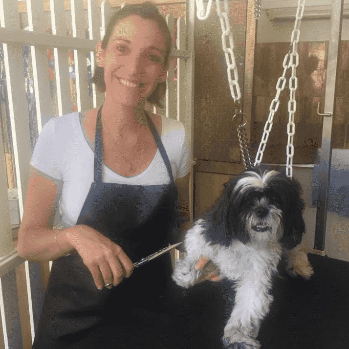 Corinne, toiletteuse diplômée, en train de toiletter un shih tzu au salon Dog Paradise à Nice